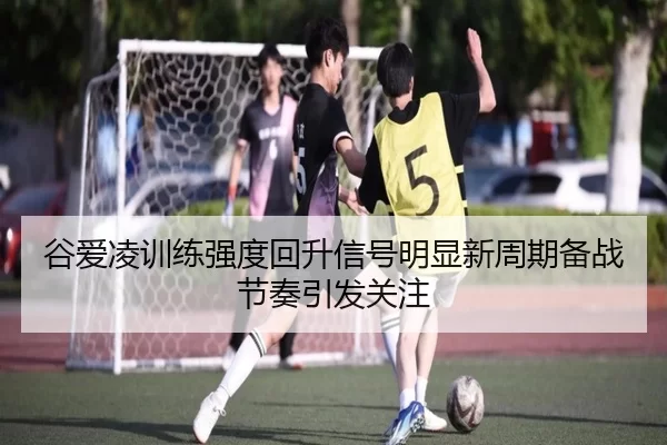 谷爱凌训练强度回升信号明显新周期备战节奏引发关注